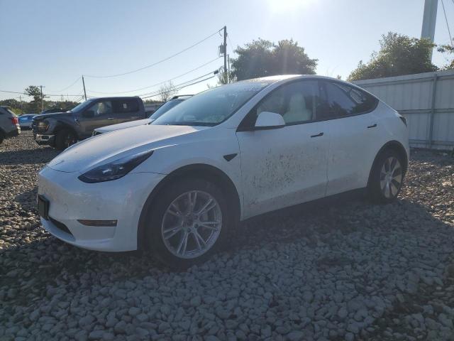  Salvage Tesla Model Y