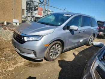  Salvage Honda Odyssey