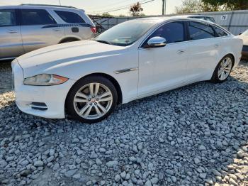  Salvage Jaguar XJ