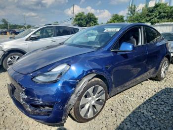 Salvage Tesla Model Y