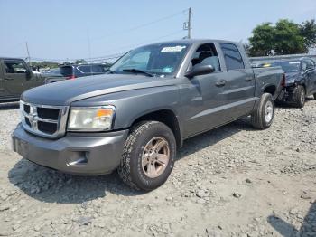  Salvage Dodge Dakota