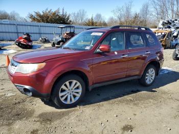  Salvage Subaru Forester