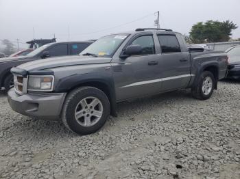  Salvage Dodge Dakota