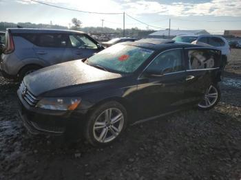  Salvage Volkswagen Passat
