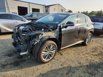  Salvage Lexus NX