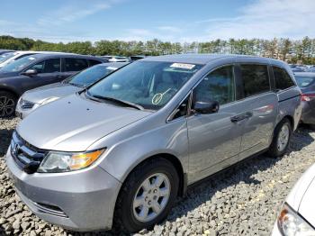  Salvage Honda Odyssey