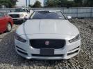 Jaguar XE First Edition Image 7