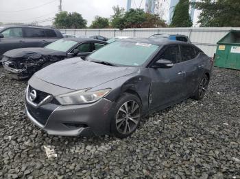  Salvage Nissan Maxima