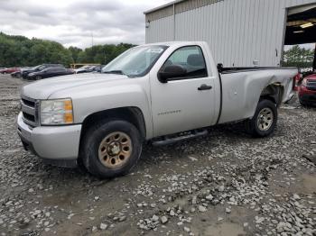  Salvage Chevrolet Silverado