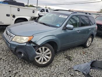  Salvage Subaru Forester