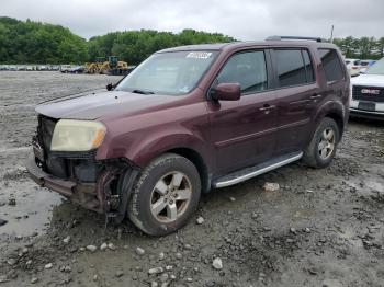  Salvage Honda Pilot