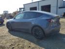 Tesla Model Y Image 2