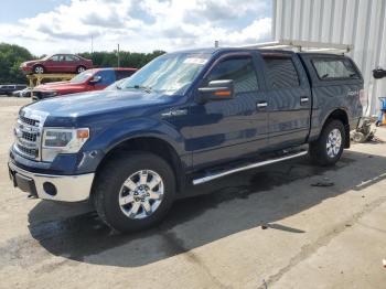  Salvage Ford F-150