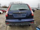 Honda Crv Lx Image 10