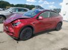 Tesla Model Y Image 1