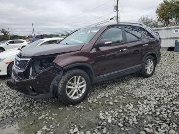  Salvage Kia Sorento