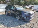 Toyota RAV4 Xle Image 3