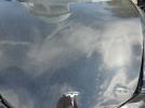 Tesla Model 3 Image 6