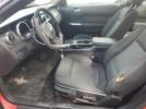 Ford Mustang Image 12