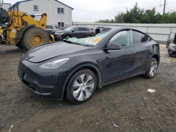 Salvage Tesla Model Y