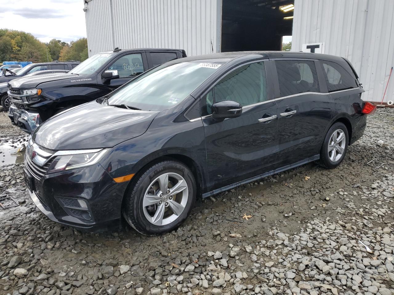 Honda Odyssey Exl Image 1