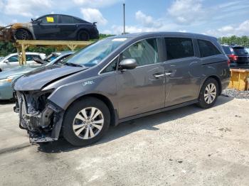  Salvage Honda Odyssey