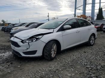  Salvage Ford Focus
