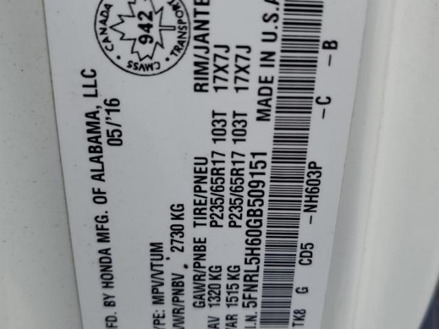 Honda Odyssey Exl Image 7