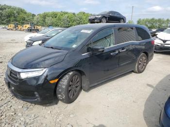  Salvage Honda Odyssey