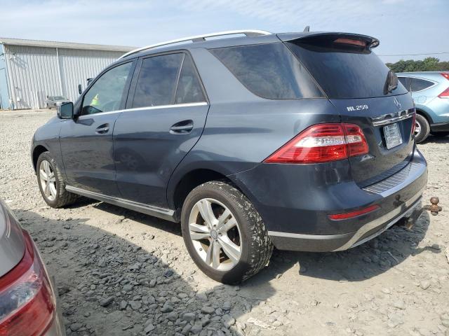 Mercedes-Benz M-Class 250 Bluetec Image 13