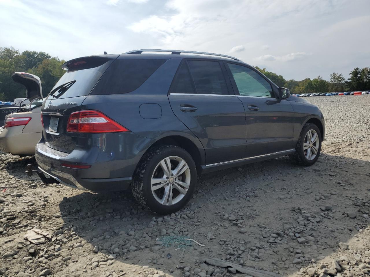 Mercedes-Benz M-Class 250 Bluetec Image 2