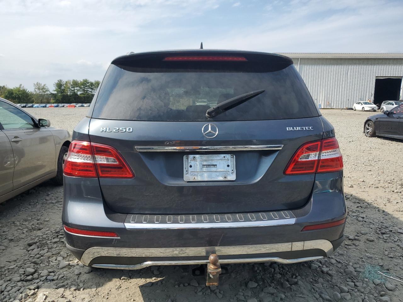 Mercedes-Benz M-Class 250 Bluetec Image 9