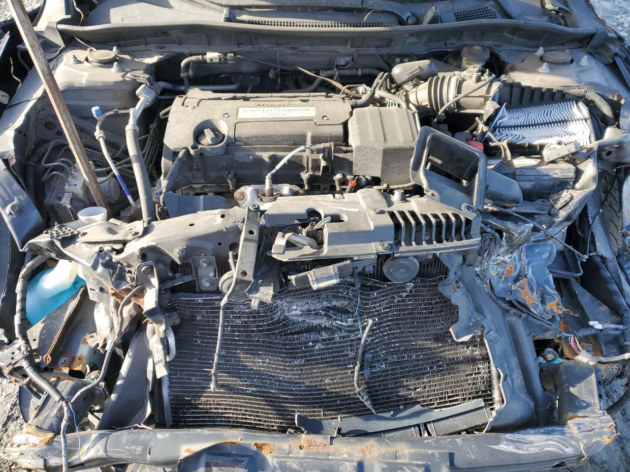 Honda Accord Lx Image 10