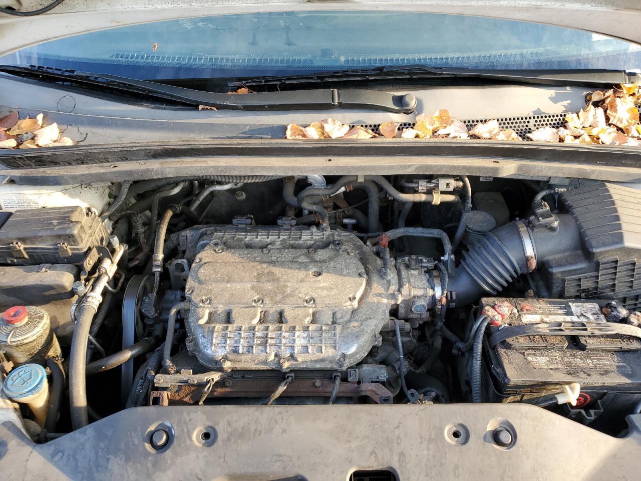 Honda Odyssey Lx Image 13