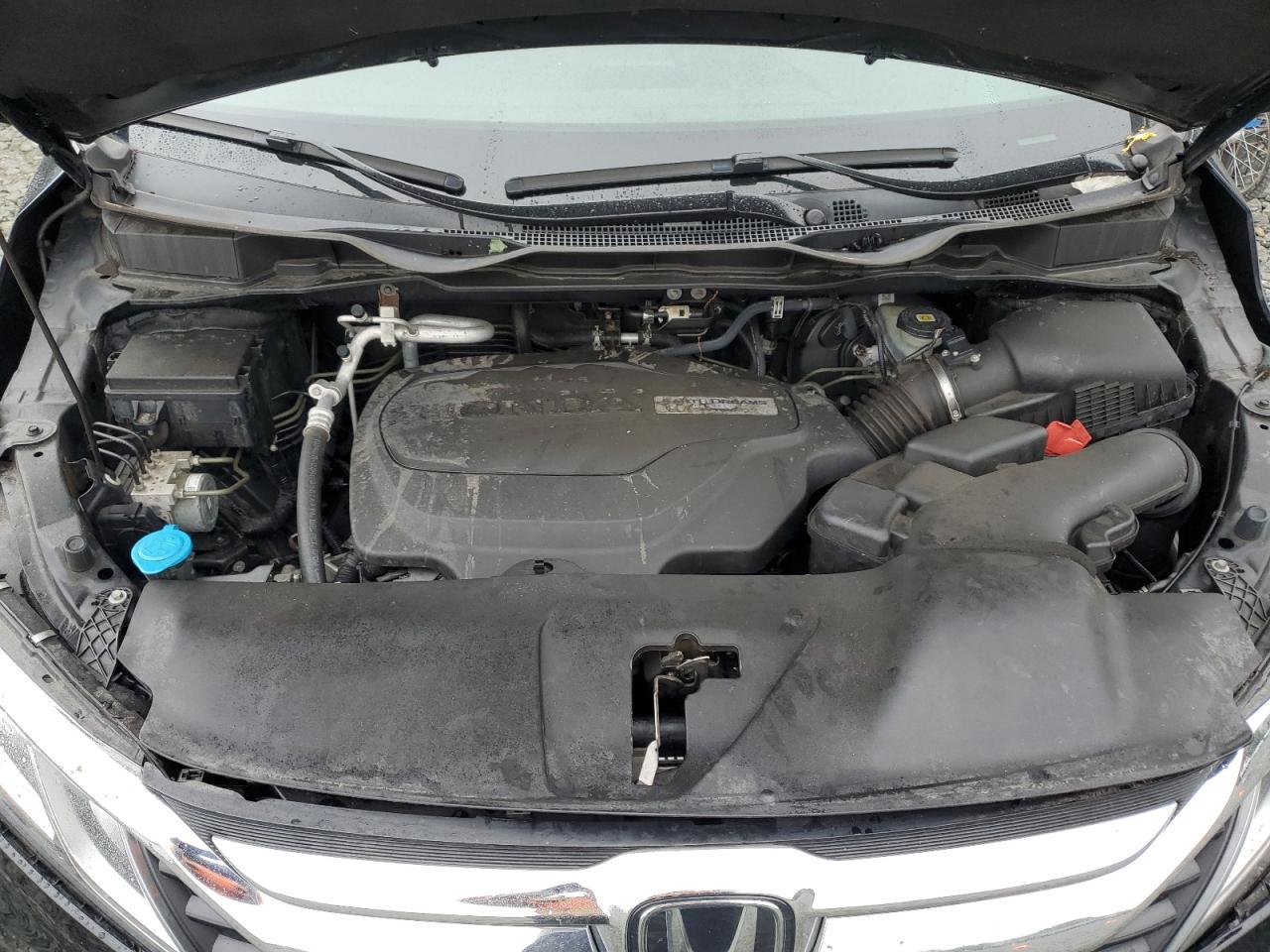 Honda Odyssey Exl Image 5