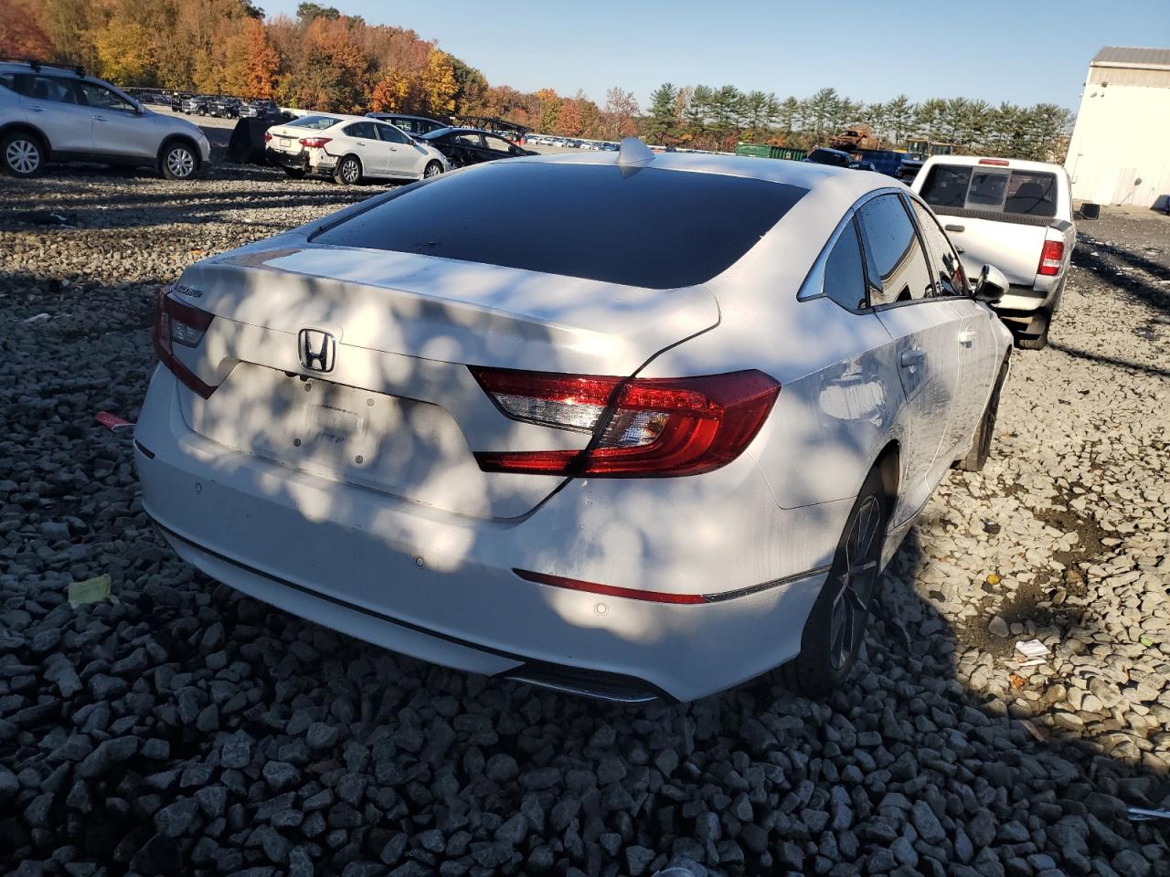 Honda Accord Exl Image 5