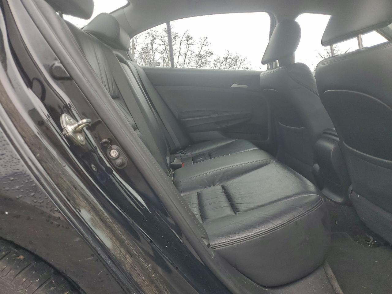 Honda Accord Se Image 5