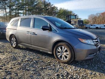  Salvage Honda Odyssey