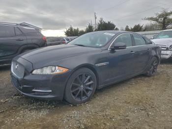  Salvage Jaguar XJ