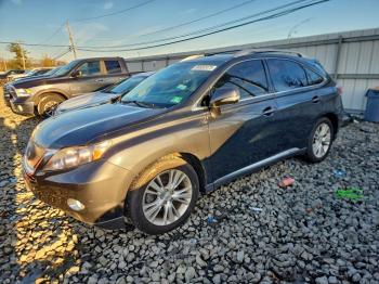  Salvage Lexus RX