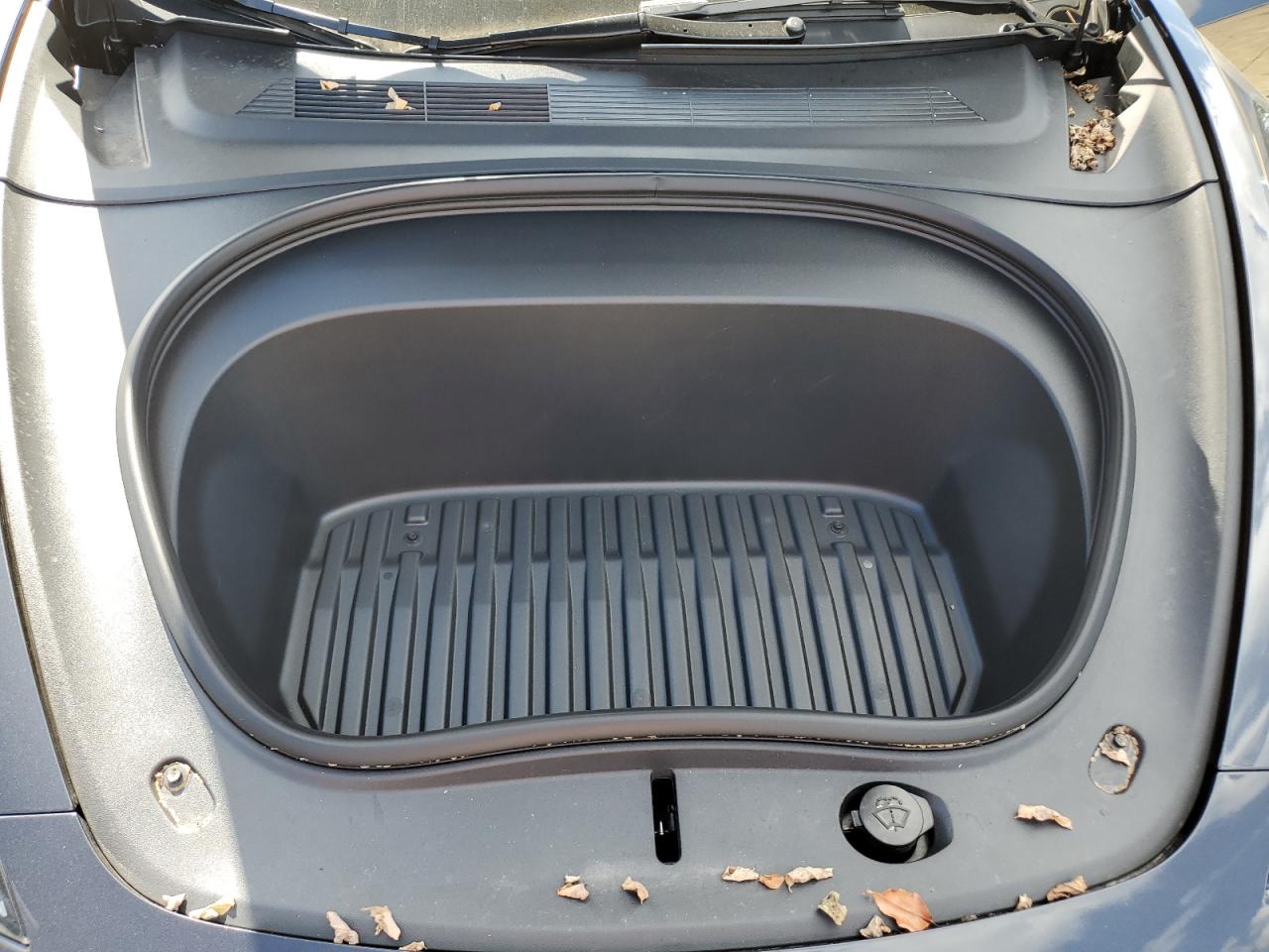 Tesla Model 3 Image 6