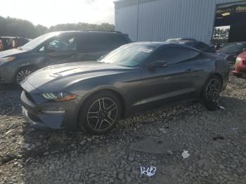  Salvage Ford Mustang