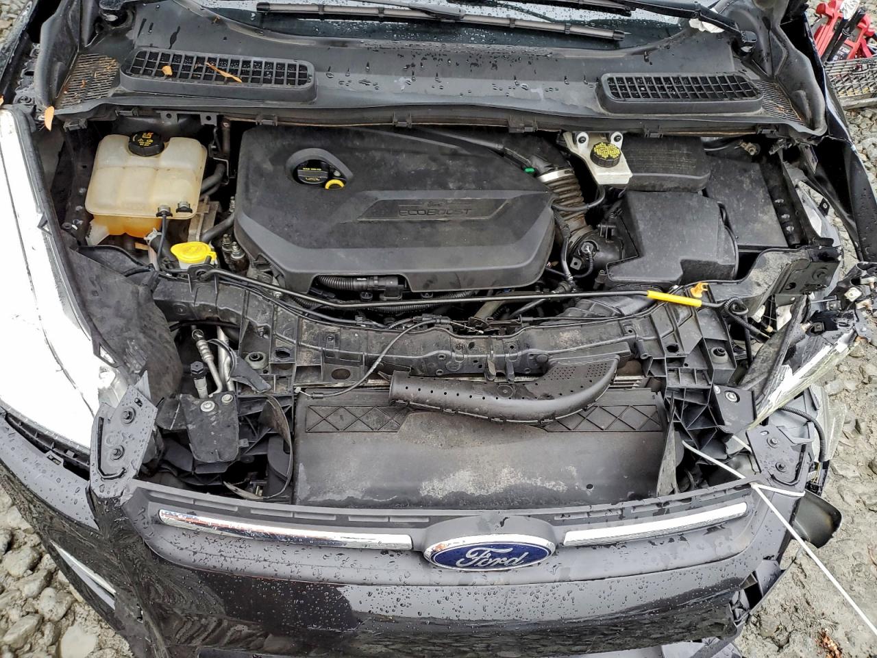 Ford Escape Se Image 10