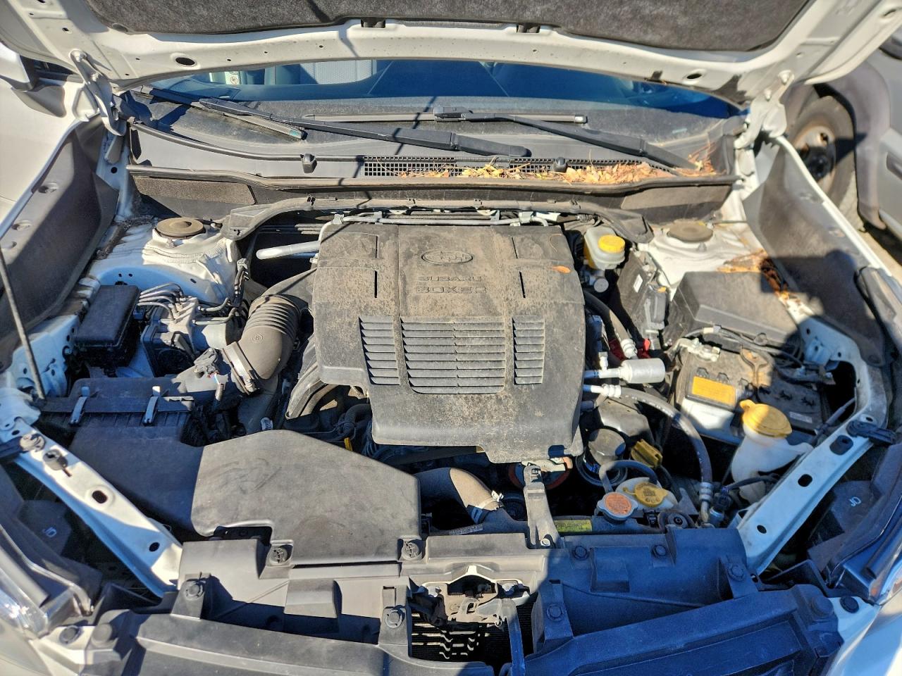 Subaru Forester Sport Image 5