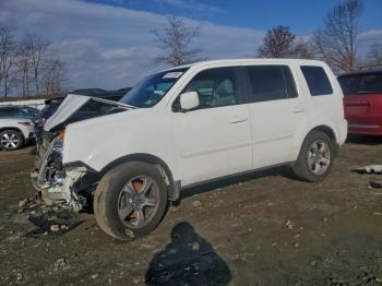  Salvage Honda Pilot