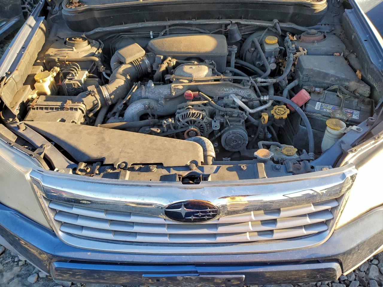 Subaru Forester 2.5x Premium Image 12