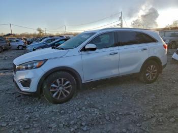  Salvage Kia Sorento