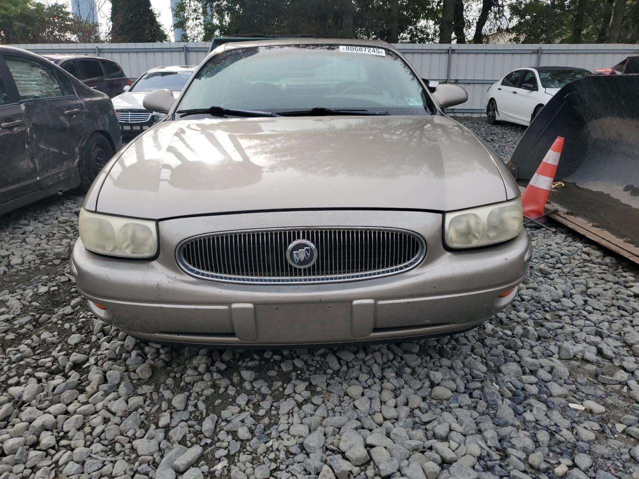 Buick LeSabre Custom Image 6