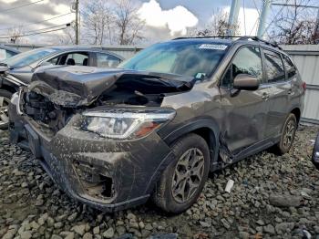  Salvage Subaru Forester