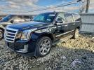 Cadillac Escalade Esv Luxury Image 1